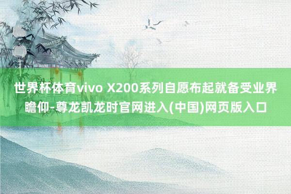 世界杯体育vivo X200系列自愿布起就备受业界瞻仰-尊龙凯龙时官网进入(中国)网页版入口