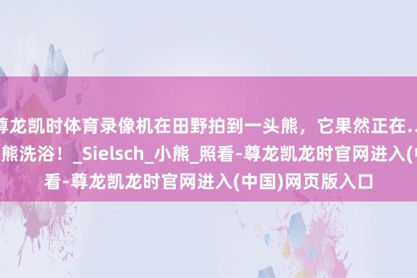 尊龙凯时体育录像机在田野拍到一头熊，它果然正在……给我方的玩物熊洗浴！_Sielsch_小熊_照看-尊龙凯龙时官网进入(中国)网页版入口