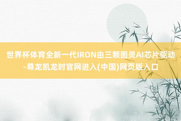 世界杯体育全新一代IRON由三颗图灵AI芯片驱动-尊龙凯龙时官网进入(中国)网页版入口