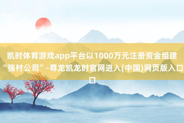 凯时体育游戏app平台以1000万元注册资金组建“强村公司”-尊龙凯龙时官网进入(中国)网页版入口